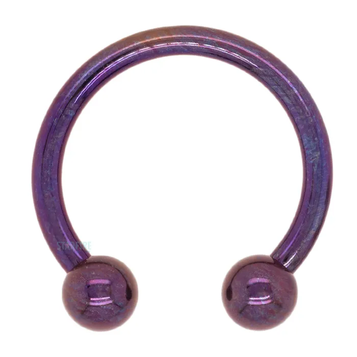 Industrial Strength IS Earrings Titanium Circular Barbell PU Purple