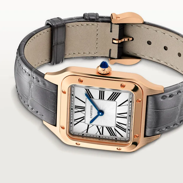 Cartier SantosDumont watch CRWGSA0021 Watches
