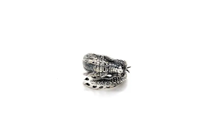 Azhdaha Ring Samuel B Rings